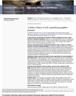 Specialty Minerals and Metals