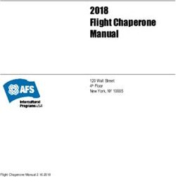 2018 Flight Chaperone Manual - AFS-USA