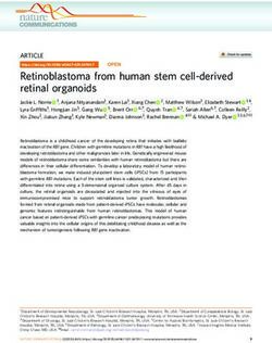 Retinoblastoma from human stem cell-derived retinal organoids