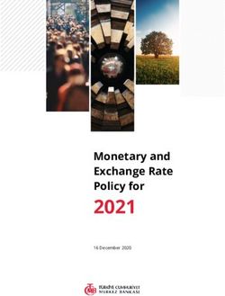 2021 Monetary and Exchange Rate Policy for - 16 December 2020 - TCMB