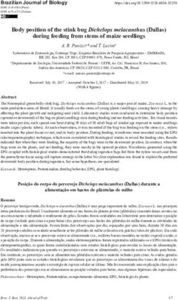 Body position of the stink bug Dichelops melacanthus (Dallas) during feeding from stems of maize seedlings