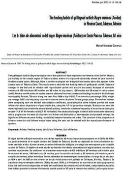 The feeding habits of gafftopsail catfish Bagre marinus (Ariidae) in Paraiso Coast,Tabasco, Mexico Los hábitos de alimentación del bagre Bagre ...