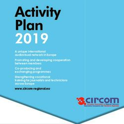 Activity Plan 2019 - CIRCOM Regional