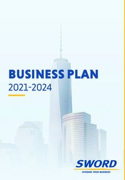 BUSINESS PLAN 2021-2024 - Sword Group