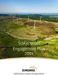 STAKEHOLDER ENGAGEMENT PLAN 2021 - EIRGRID