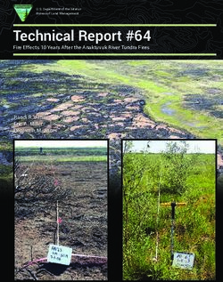 Technical Report #64 Fire Effects 10 Years After the Anaktuvuk River Tundra Fires Randi R. Jandt Eric A. Miller Benjamin M. Jones