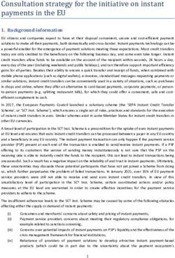 Consultation strategy for the initiative on instant payments in the EU - European Commission