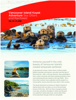 Vancouver Island Kayak Adventure Sea Otters and Rainforest