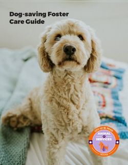 Dog-saving Foster Care Guide - El Paso Animal Services