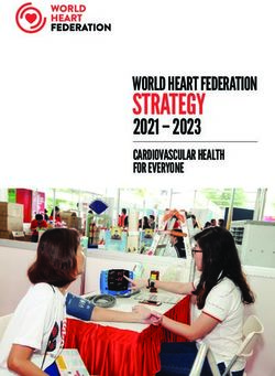 STRATEGY 2021 - 2023 CARDIOVASCULAR HEALTH FOR EVERYONE