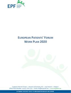 WORK PLAN 2020 EUROPEAN PATIENTS' FORUM - European Patients' Forum