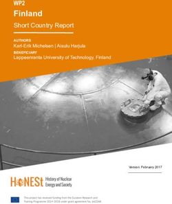 FINLAND WP2 SHORT COUNTRY REPORT - HONEST