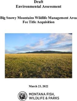 Draft Environmental Assessment - Big Snowy Mountains Wildlife ...