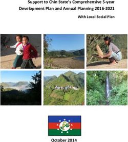 Support to Chin State's Comprehensive 5-year Development Plan and Annual Planning 2016-2021 - With Local Social Plan