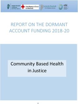REPORT ON THE DORMANT ACCOUNT FUNDING 2018-20 - Community Based Health in Justice - Irish Red ...