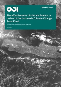 The effectiveness of climate finance: a review of the Indonesia Climate Change Trust Fund - Working paper