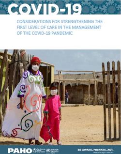 CONSIDERATIONS FOR STRENGTHENING THE FIRST LEVEL OF CARE IN THE MANAGEMENT OF THE COVID-19 PANDEMIC - IRIS PAHO Home