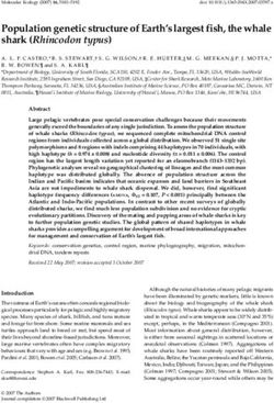 Shark (Rhincodon typus) - Blackwell Publishing Ltd Population genetic structure of Earth's largest fish, the whale