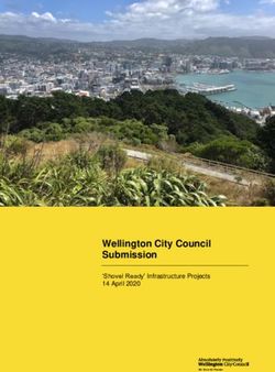 Wellington City Council Submission - 'Shovel Ready' Infrastructure Projects 14 April 2020