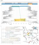 RAPID CHARACTERIZATION OF A DELTA-OMICRON SARS- COV-2 RECOMBINANT DETECTED IN EUROPE