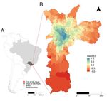 Spatiotemporal dynamic of COVID-19 mortality in the city of São Paulo, Brazil: shifting the high risk from the best to the worst socio-economic ...