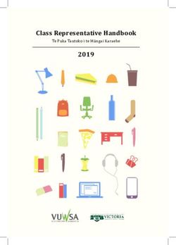 Te Puka Tautoko i te Māngai Karaehe 2019 - Squarespace