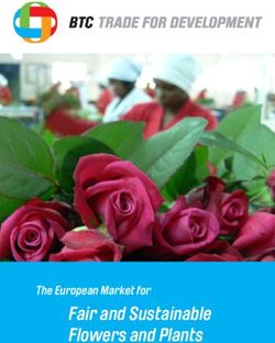 Fair and Sustainable Flowers and Plants - The European Market for