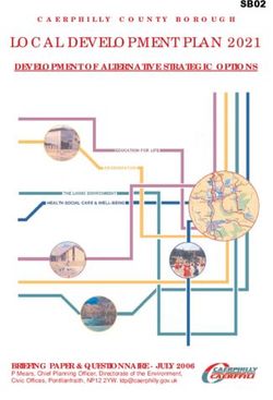 LOCAL DEVELOPMENT PLAN 2021 - DEVELOPMENT OF ALTERNATIVE STRATEGIC OPTIONS - Caerphilly County ...