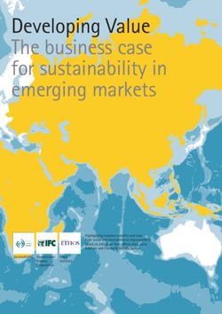 Developing Value The business case for sustainability in emerging markets