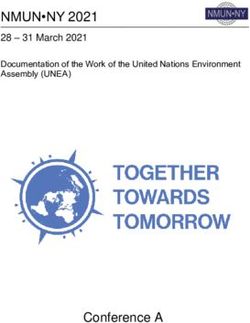 NMUN NY 2021 - Conference A - National Model United Nations