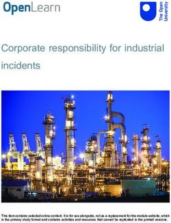 Corporate responsibility for industrial incidents - The Open ...
