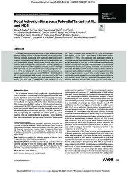 Focal Adhesion Kinase as a Potential Target in AML and MDS