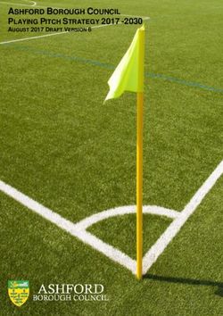ASHFORD BOROUGH COUNCIL PLAYING PITCH STRATEGY 2017 -2030 - AUGUST 2017 DRAFT VERSION 6