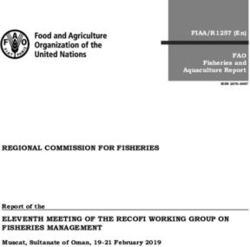 REGIONAL COMMISSION FOR FISHERIES ELEVENTH MEETING OF THE RECOFI WORKING GROUP ON FISHERIES MANAGEMENT - Report of the - FAO Fisheries and ...