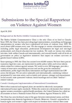 Submissions to the Special Rapporteur on Violence Against Women