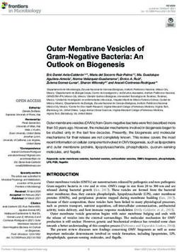 Outer Membrane Vesicles of Gram-Negative Bacteria: An Outlook on Biogenesis