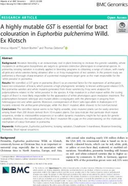 A highly mutable GST is essential for bract colouration in Euphorbia pulcherrima Willd. Ex Klotsch