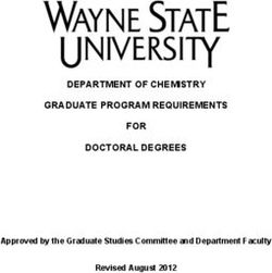 DEPARTMENT OF CHEMISTRY GRADUATE PROGRAM REQUIREMENTS FOR - DOCTORAL DEGREES Approved by the Graduate Studies Committee and Department Faculty ...