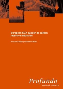 European ECA support to carbon intensive industries - A research paper prepared for FERN