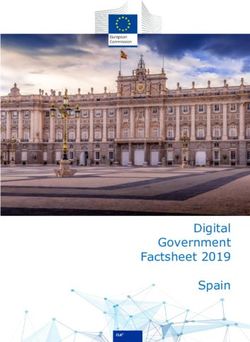 Digital Government Factsheet 2019 Spain