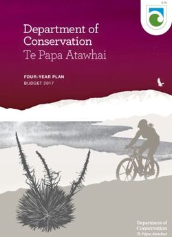 DEPARTMENT OF CONSERVATION - TE PAPA ATAWHAI FOUR-YEAR PLAN BUDGET 2017 - DOC