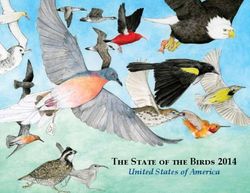 The State of the Birds 2014 - United States of America