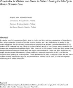 Price Index for Clothes and Shoes in Finland: Solving the Life-Cycle Bias in Scanner Data - UNECE
