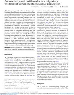 Connectivity and bottlenecks in a migratory wildebeest Connochaetes taurinus population