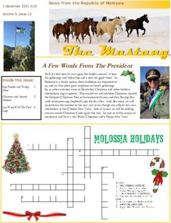 The Mustang - Republic Of Molossia