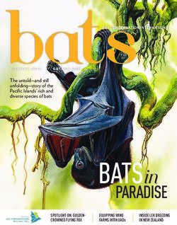 BATSin - Bat Conservation International