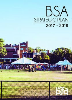 BSA STRATEGIC PLAN 2017 2019 - Bendigo Student Association