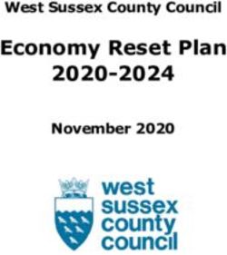 Economy Reset Plan 2020-2024 - West Sussex County Council November 2020