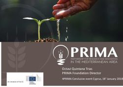 Octavi Quintana Trias PRIMA Foundation Director - 4PRIMA Conclusive event Cyprus, 18 January 2018