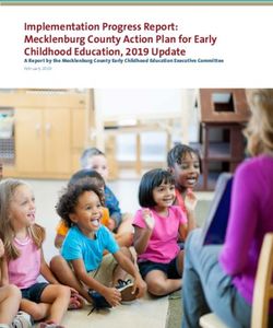 Implementation Progress Report: Mecklenburg County Action Plan for Early Childhood Education, 2019 Update - A Report by the Mecklenburg County ...